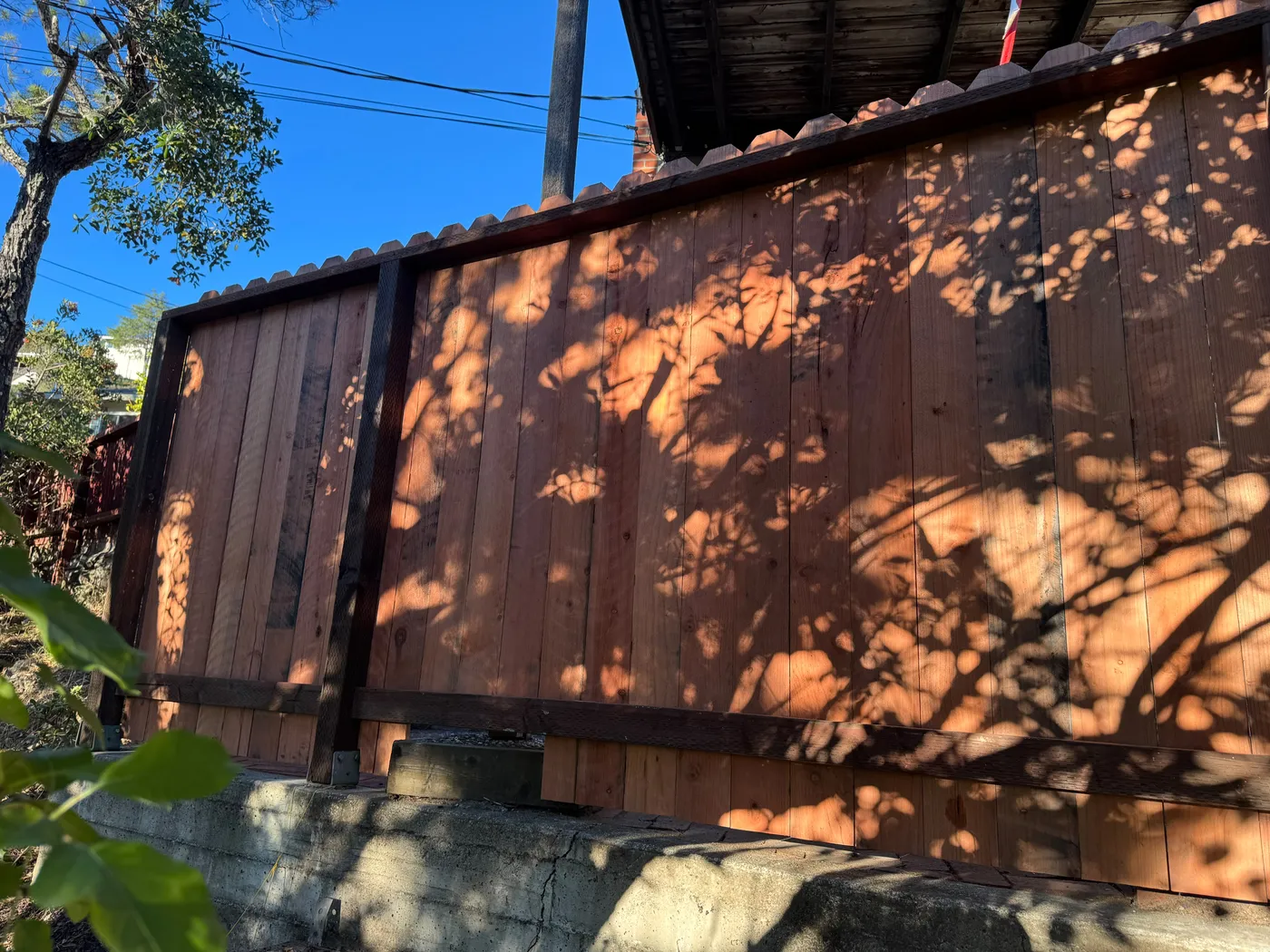 San Judas Landscape project in Petaluma, CA (8)