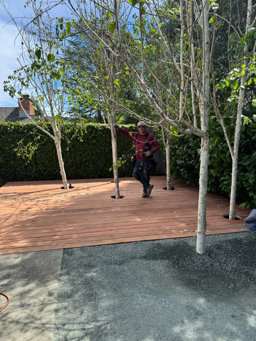 San Judas Landscape project in Petaluma, CA (18)