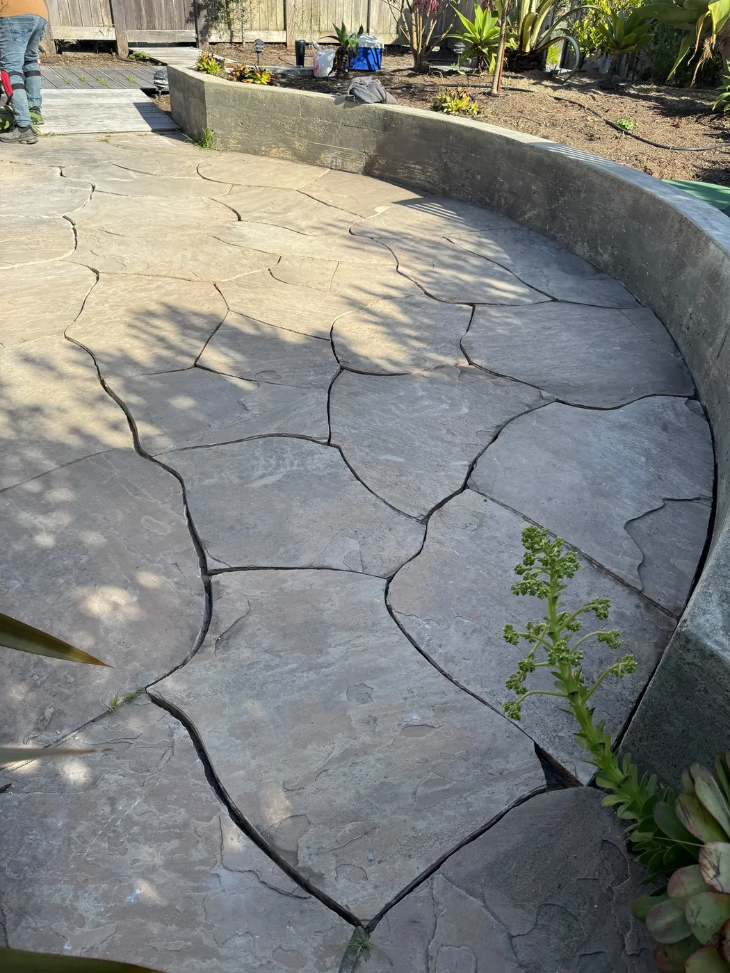 San Judas Landscape project in Petaluma, CA (19)