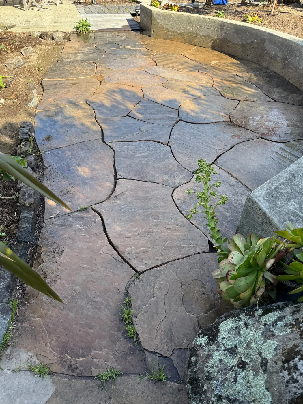 San Judas Landscape project in Petaluma, CA (20)