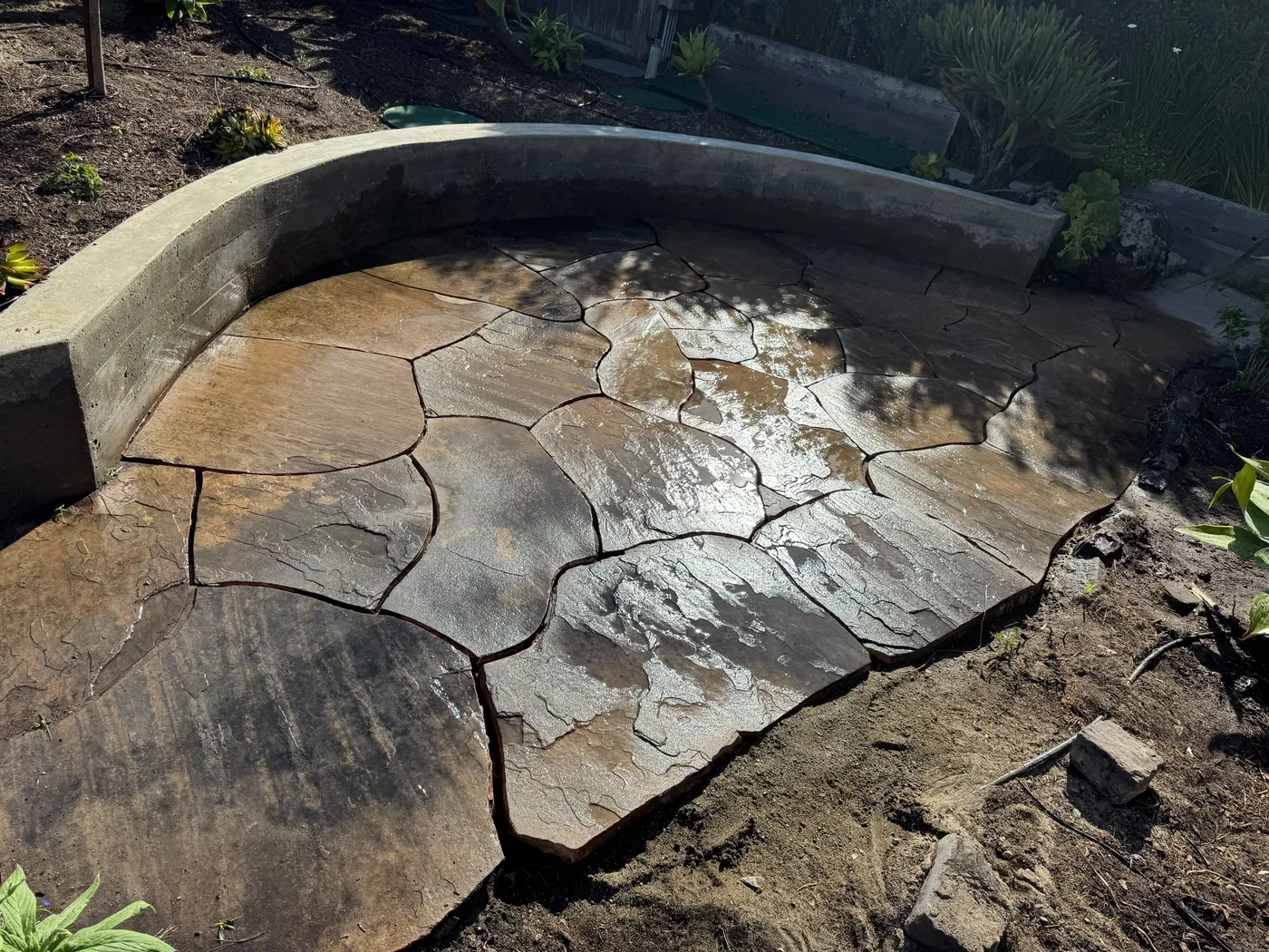 San Judas Landscape project in Petaluma, CA (21)