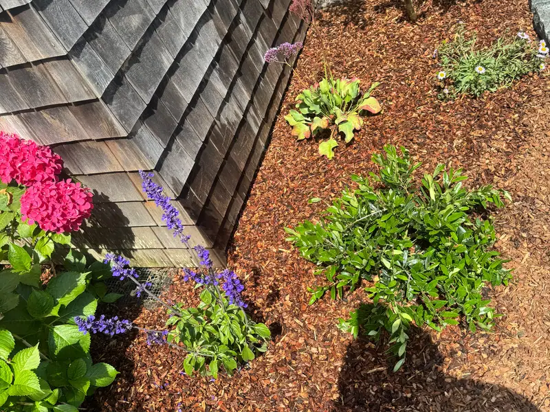 Landscape Maintenance in Petaluma, CA