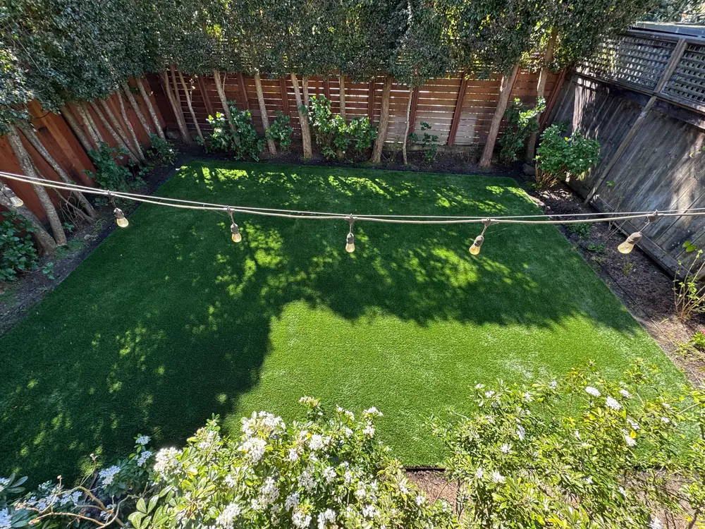 Landscaping in Rohnert Park, CA