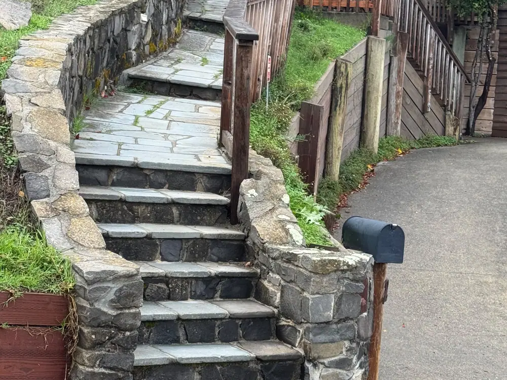 Landscaping in Santa Rosa, CA