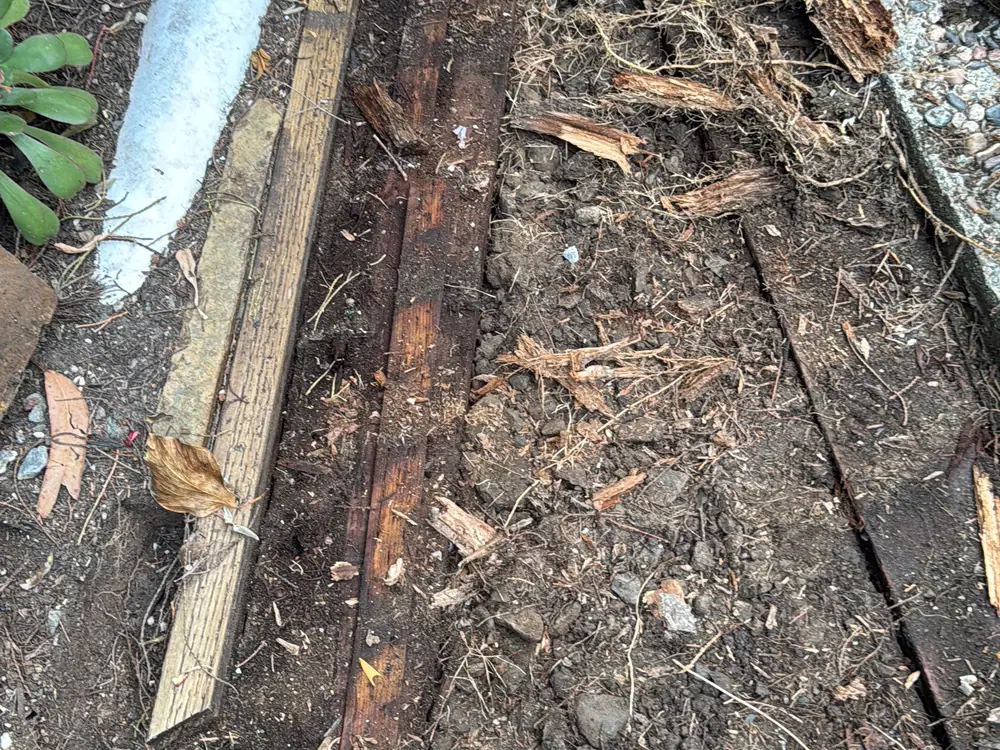 Property and yard cleanup in Petaluma, CA